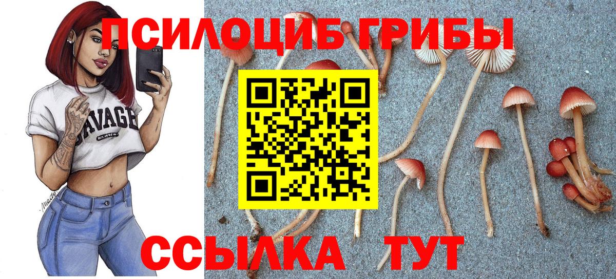 Псилоцибиновые грибы прущие грибы  Вход с VPN  Зеленодольск 